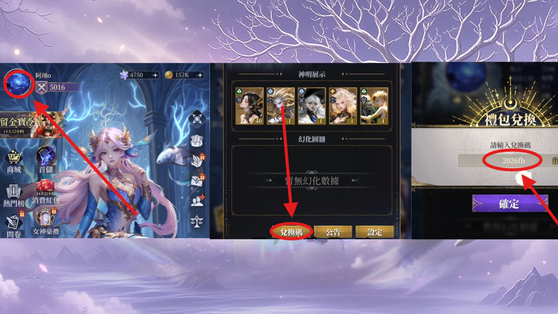DIGUO雙面神姬禮包碼